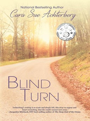 cover image of Blind Turn